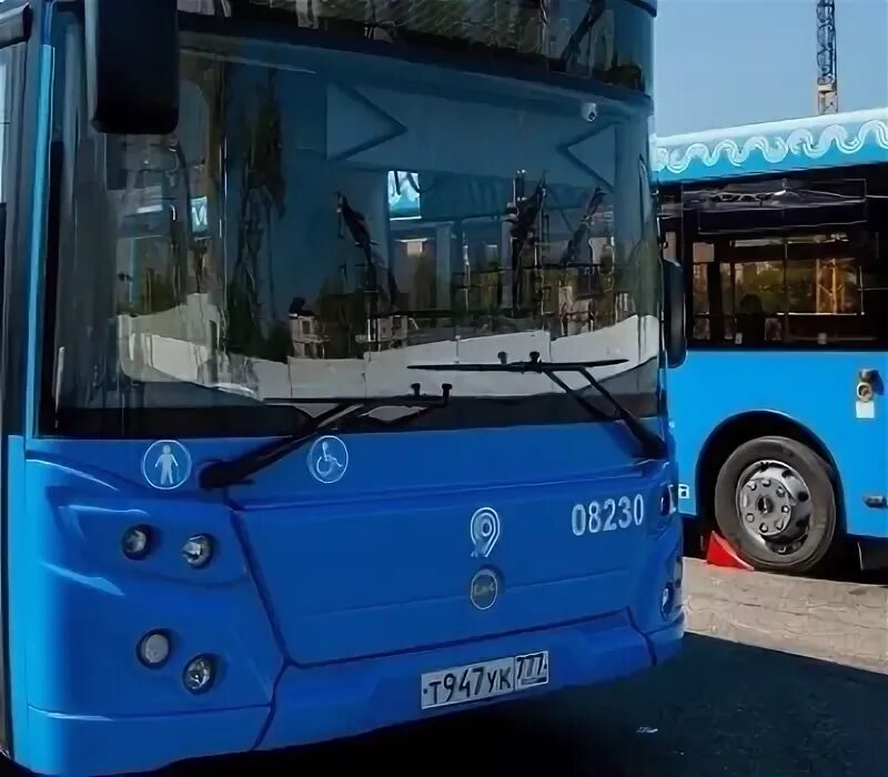 Автобус 446 хвойный