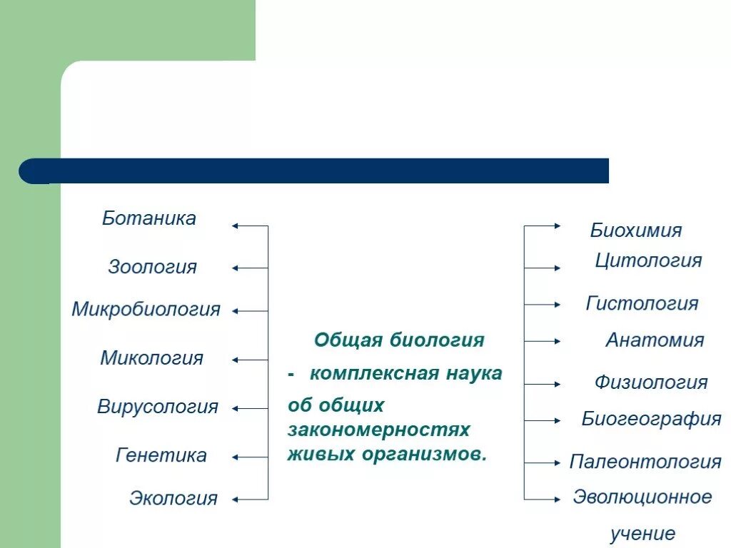 Области биологии 5. Ботаника Зоология микробиология. Биология ботаника Зоология микология. Цитология общая биология. Разделы биологии термины.