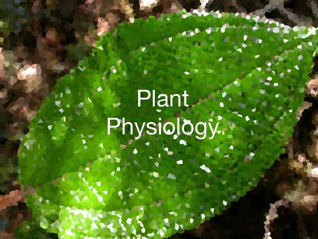 Plant physiology. Физиология растений. Физиология растений картинки. Физиология растений это наука. Физиология растений фон.