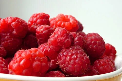 Малина обыкновенная описание. Элеутерококк ягоды съедобны. Малина описание. Описание о малине. Малина относится.