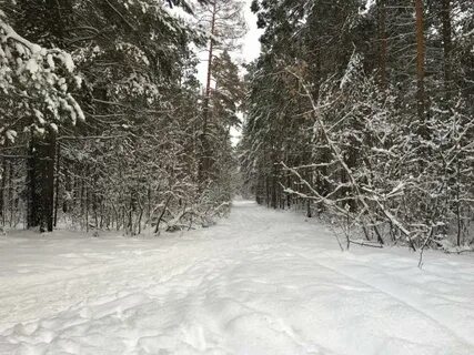 Зимний бердск