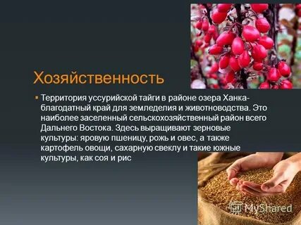 Хозяйственность