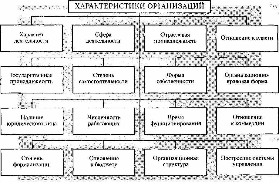 Характер функционирования организации. Общие характеристики организации. Характер деятельности предприятия. Организационнаяактеристика. Характеристика форм деятельности.