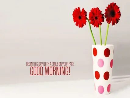 Morning 3