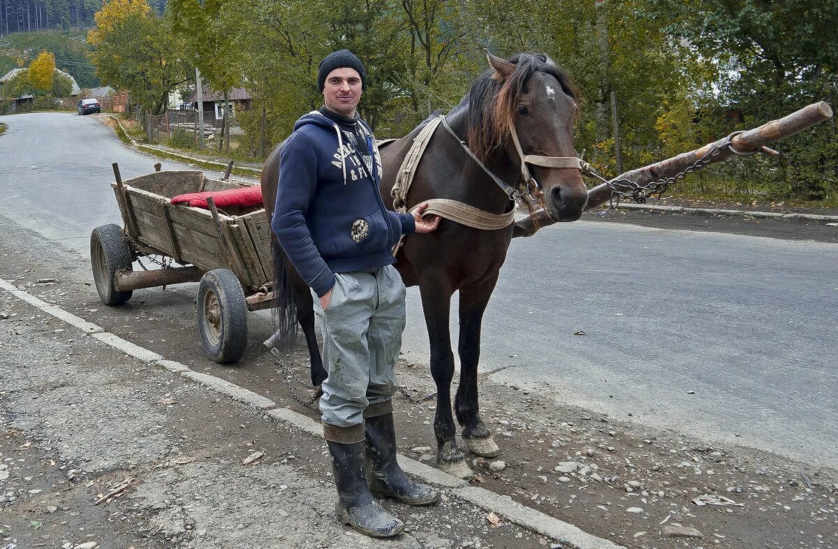 водитель кобылы. извозчик водитель кобылы. цыган на коне. водитель кобылы. цыган на белом коне.