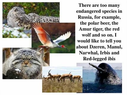 Species перевод