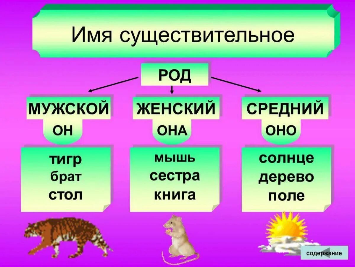 Род в русском языке таблица имен существительных. Од имен существительных. Имя существительное род. Род имени существительного. Схема какой род