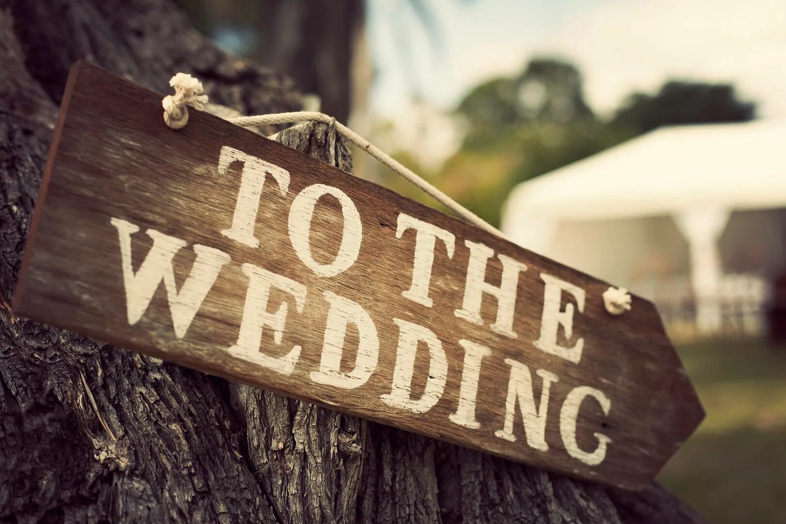 Most gone. Economics gone astray. Альбом ep что значит. Нью йорк эстетика бруклинский мост. Of things gone astray.