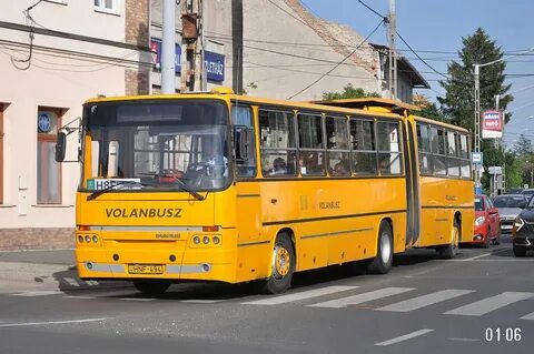 Автобус 494 белоостров расписание