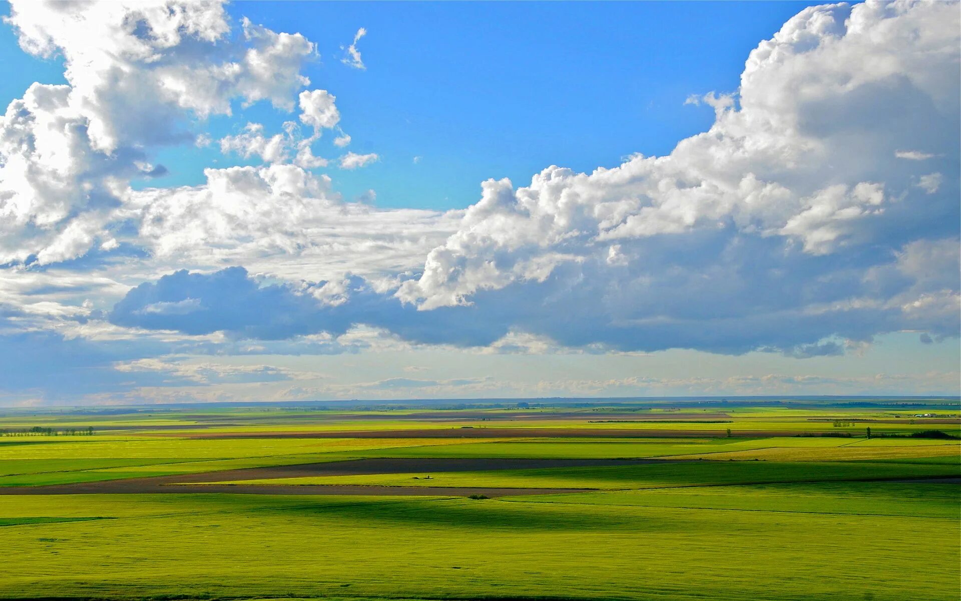 Picture land