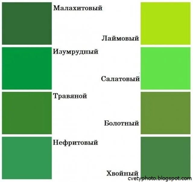 Какой цвет светло зеленый