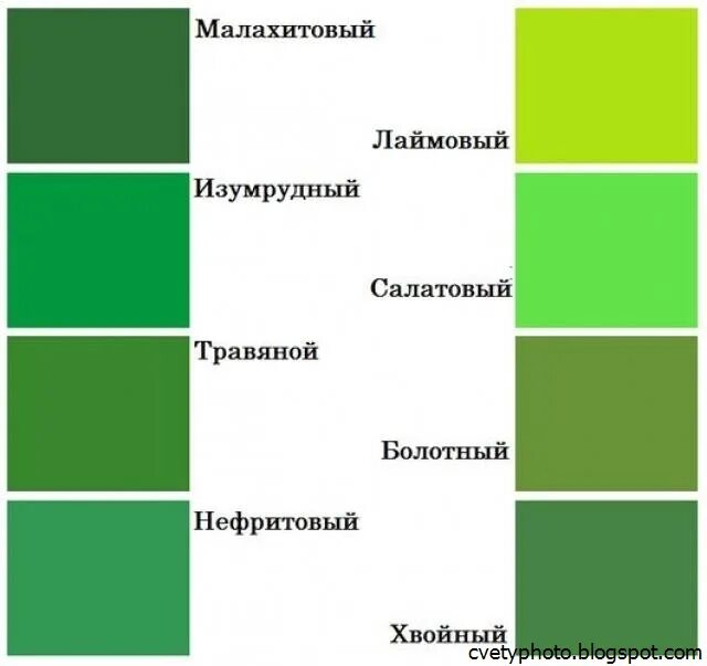 Всегда зеленого цвета. Оттенки зелёного цвета. Зеленый цвет названия. Зелёные оттенки цветов. Разновидности зеленого цвета.