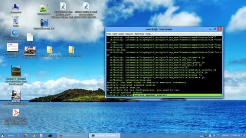 Start root