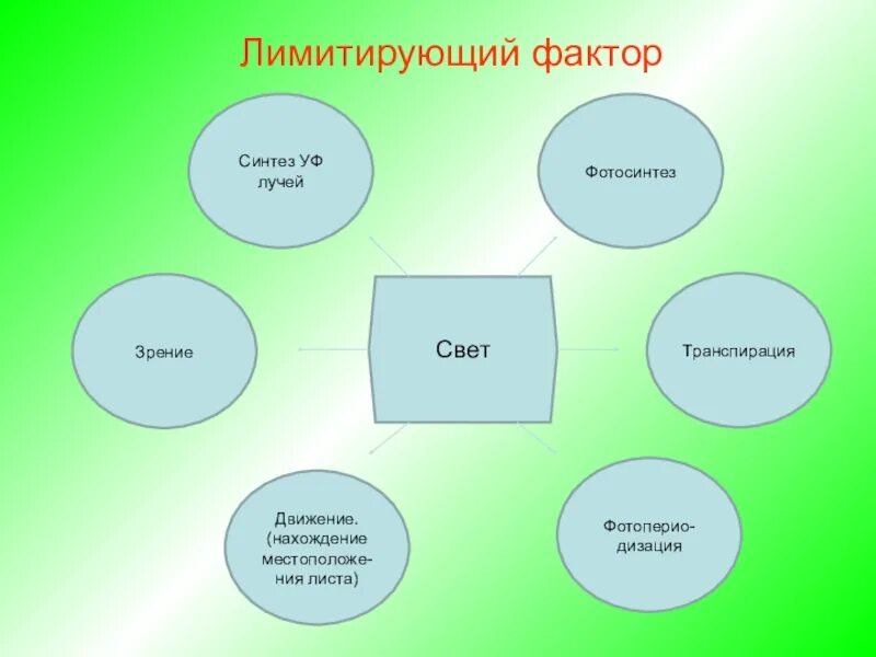 Лимитирующий фактор жизни растений в нечерноземной зоне. Лимитирующий фактор. Лимитирующие экологические факторы. Лимитирующие факторы это в биологии. Лимитирующий фактор это в экологии.