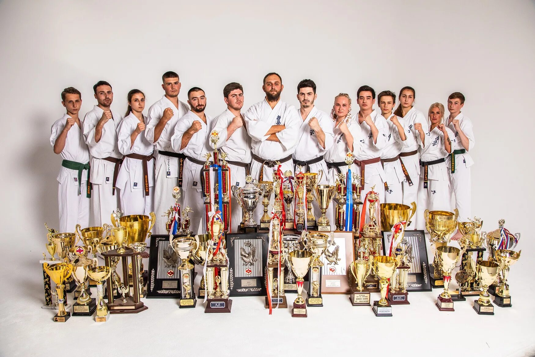 косики каратэ москва. залы каратэ для всех москва. каратэ москва взрослые. олимп каратэ владимир. барс каратэ москва гулынина.