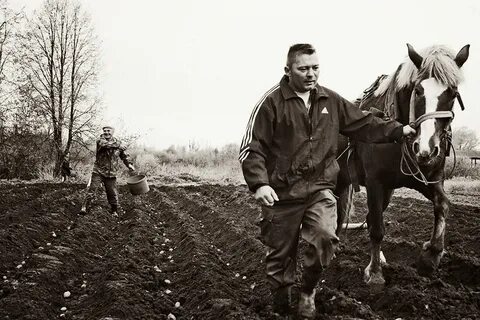 Блоггер деревенская жизнь у дороги