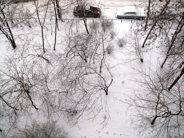 Гольяновский пруд зимой замок. С последним февральским вечером. Всеволод борисович иванов ведическая русь. Летопись зимы. Зима 2009-2010.