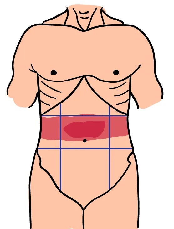 Почему режет бок. Области живота. Боли в области живота. Органы вокруг пупка. Пупочная область живота.