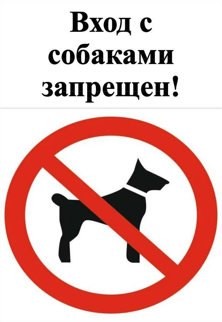 Знак с собаками запрещено. Вход с собаками запрещен. Знак с собаками вход запрещен. Что нельзя собакам. Магазин вход запрещен