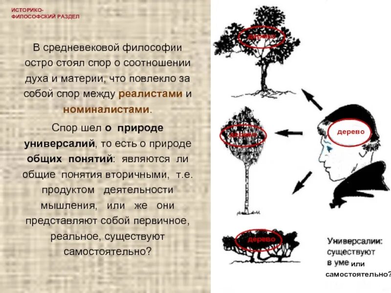 Спор между деревьями. Спор между номиналистами и реалистами. Спор между номиналистами и реалистами в средневековой философии. Суть спора номиналистов и реалистов. Спор об универсалиях в средневековой философии.