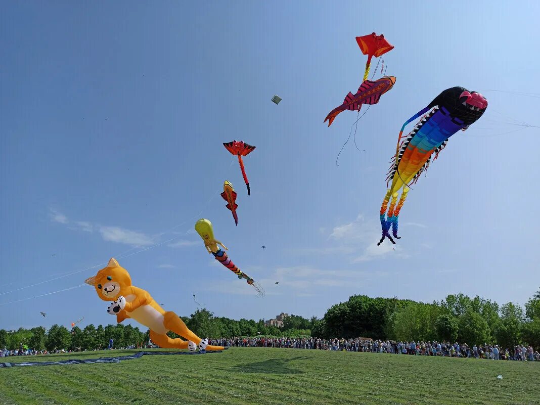 Пестрое небо. Царицыно» проходит фестиваль воздушных змеев «пестрое небо»⁠⁠2023. Пестрое небо в Царицыно. Фестиваль пестрое небо.
