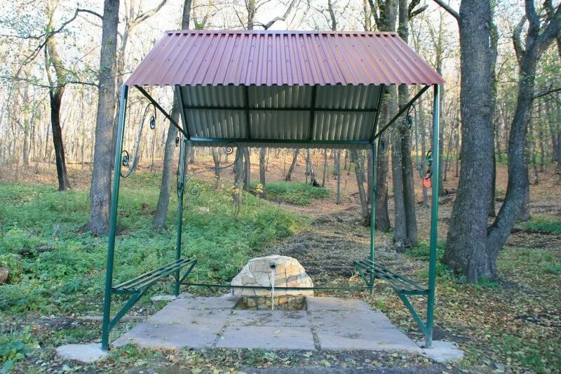 Саратовский родник. Кумысная Поляна Саратов Родник. Родник Андреевский Саратов. Андреевские пруды Саратов Поливановка. Серебрянный Родник Саратов.