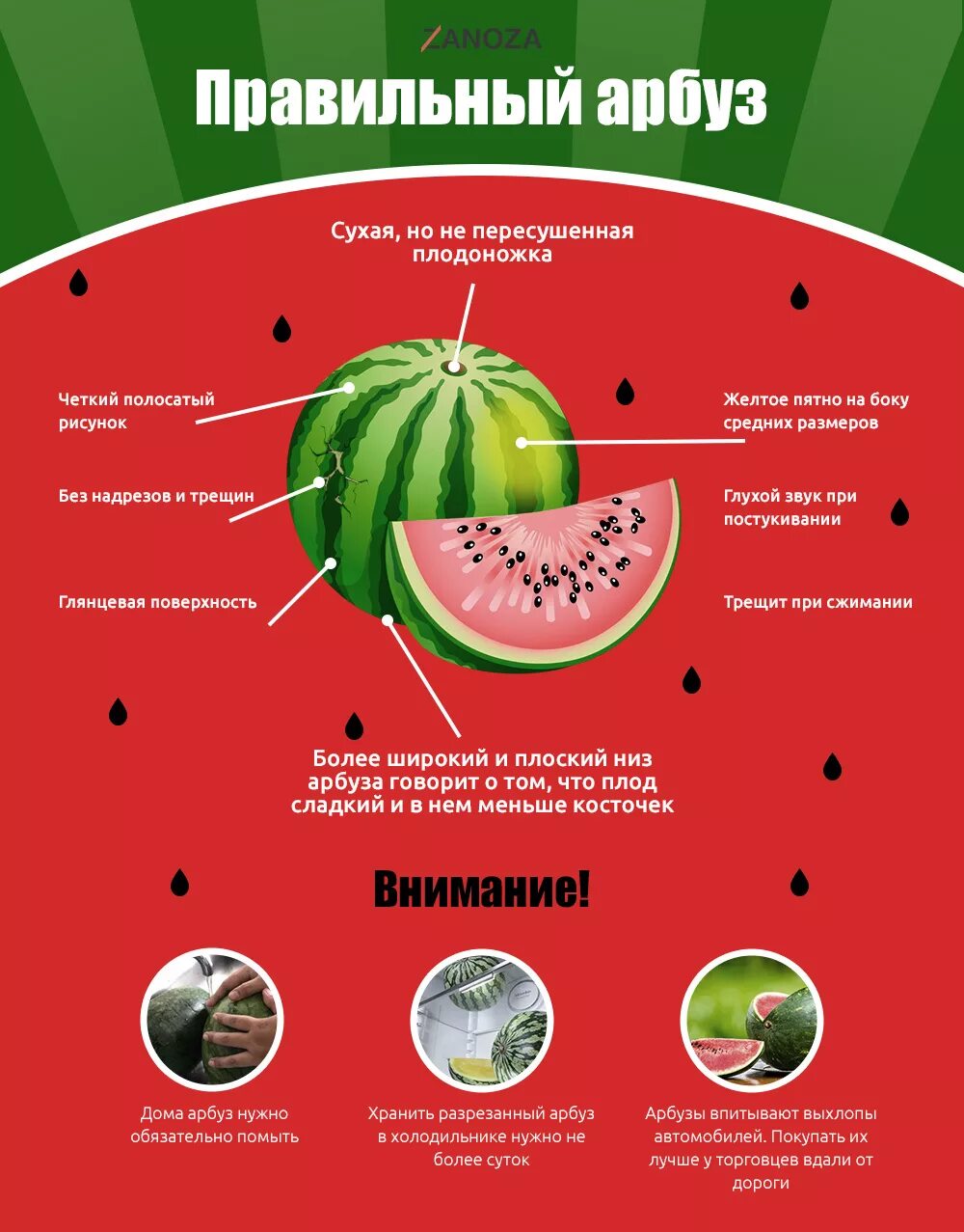 Арбузы инструкция. Отравление арбузом. Как выбрать Арбуз. Признаки арбуза. Хороший Арбуз.