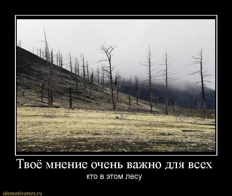 Опрос важно ваше мнение. Важное мнение года. Пройди опрос. Нам важно ваше мнение опрос. Нам очень важно ваше мнение.