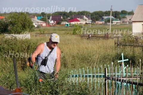 Сколько поспелихе
