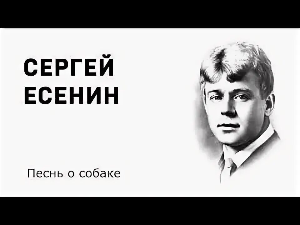 злищев стихи есенина