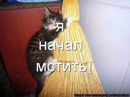 Читать я буду мстить