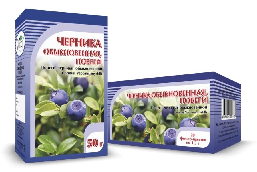 Черника обыкновенная препараты. Побеги черники обыкновенной. Побеги черники обыкновенной. Побеги черники обыкновенной. (лекрасэт).