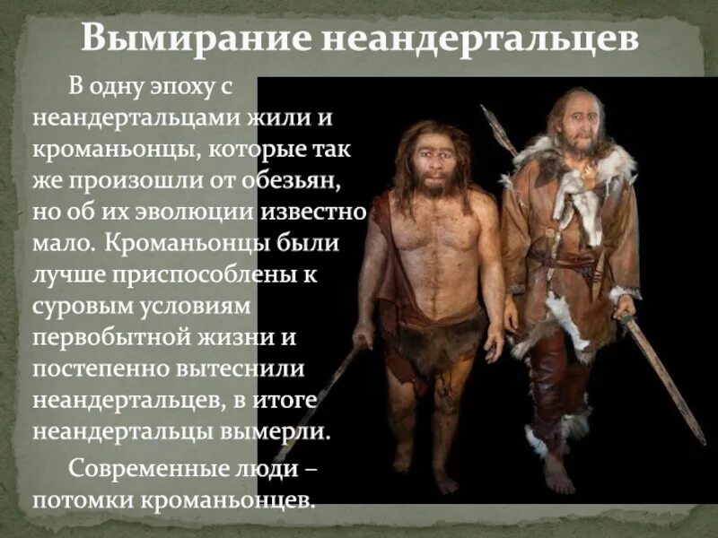 Хомо сапиенс появился в эпоху. Кроманьонец неандерталец сапиенс сапиенс. Хомо сапиенс неандерталец кроманьонец. Человек разумный неандерталец и кроманьонец. Человек разумный кроманьонец.