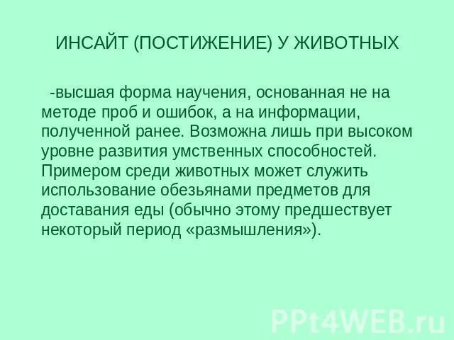 Способности к научению. Эвристическое научение у животных. Инсайт у животных примеры. Формы научения животных. Инсайт научение у животных примеры.