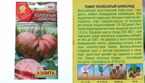 Характеристика томатов шоколадный