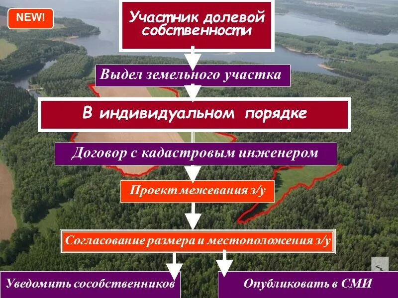 Этапы выдела земельного участка. Выдел доли земельного участка. Образование земельных участков. Способы образования земельных участков. Выдел в счет земельной доли