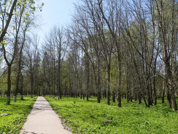 Высоковская городская