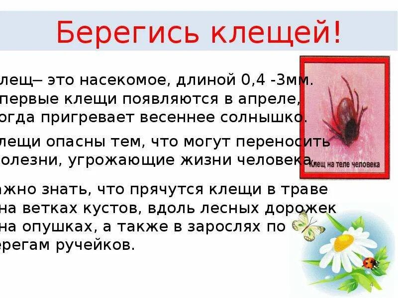 Лещ мем клещ. Иксодовые клещи без фона. 2-1. 2-1g. Лещ рисунок.