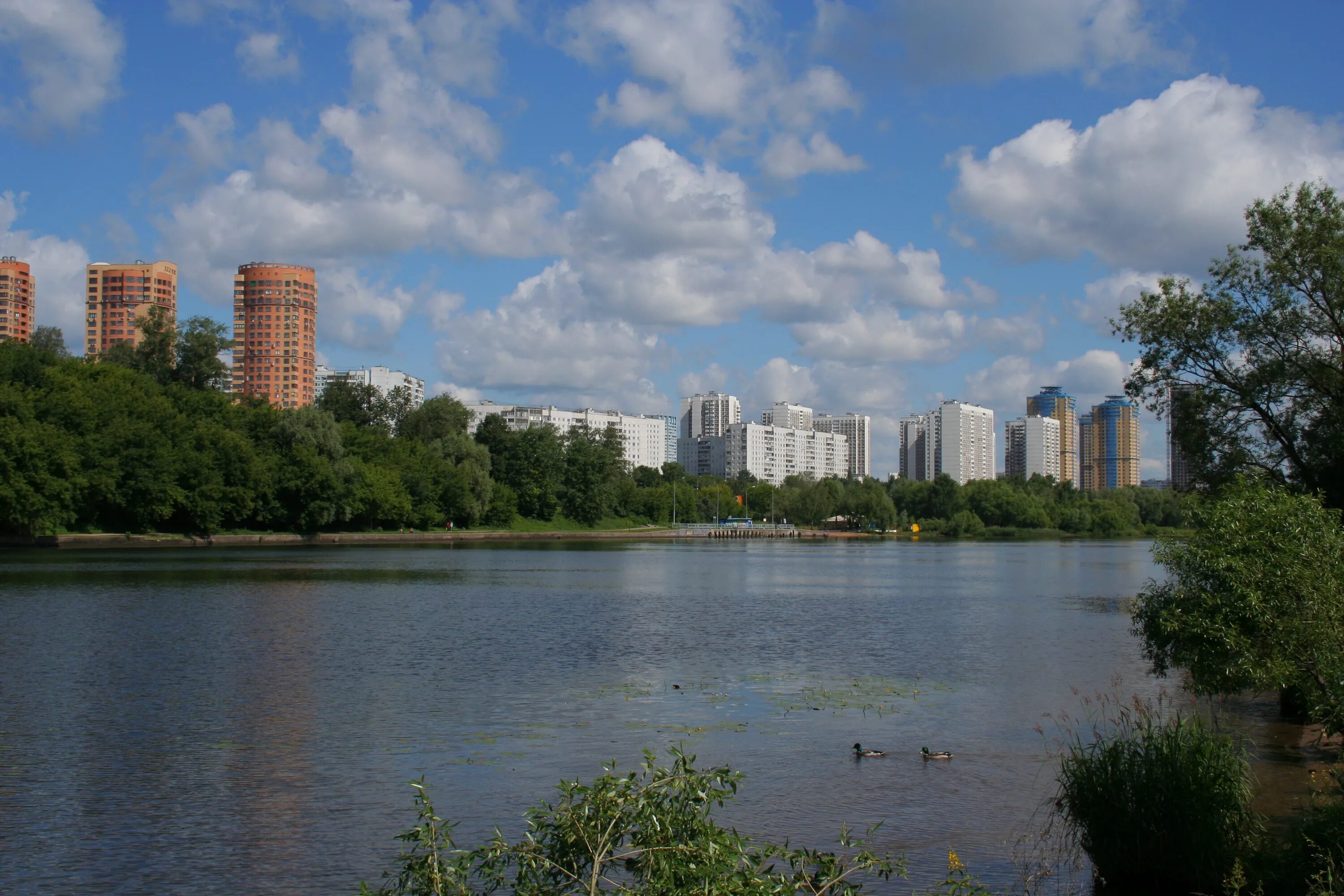 Россия москва строгино. Москва река Строгино. Строгинский парк Москва. Строгинская Пойма парк. Строгинский залив.