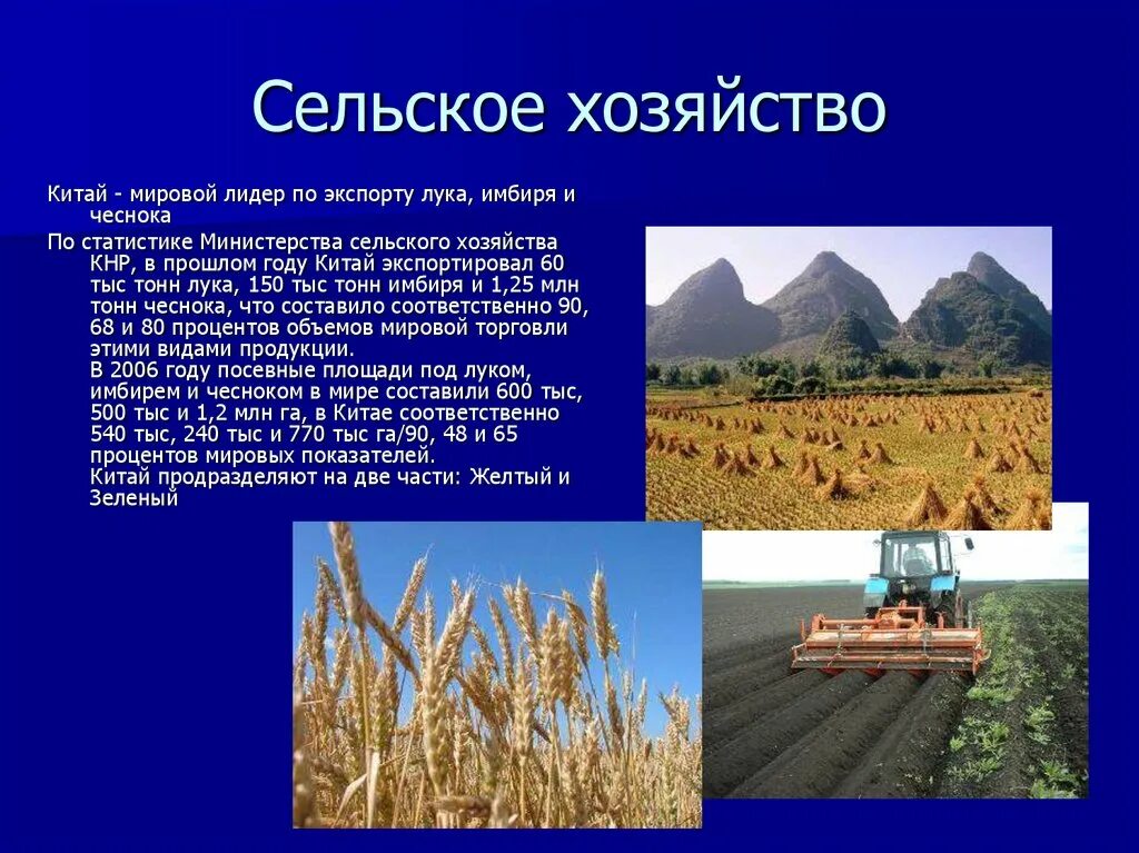 Главная отрасль сельского хозяйства китая. Отрасли животноводства китая. Сельское хозяйство китая животноводство. Скотоводство в китае. Главная отрасль сельского хозяйства китая.