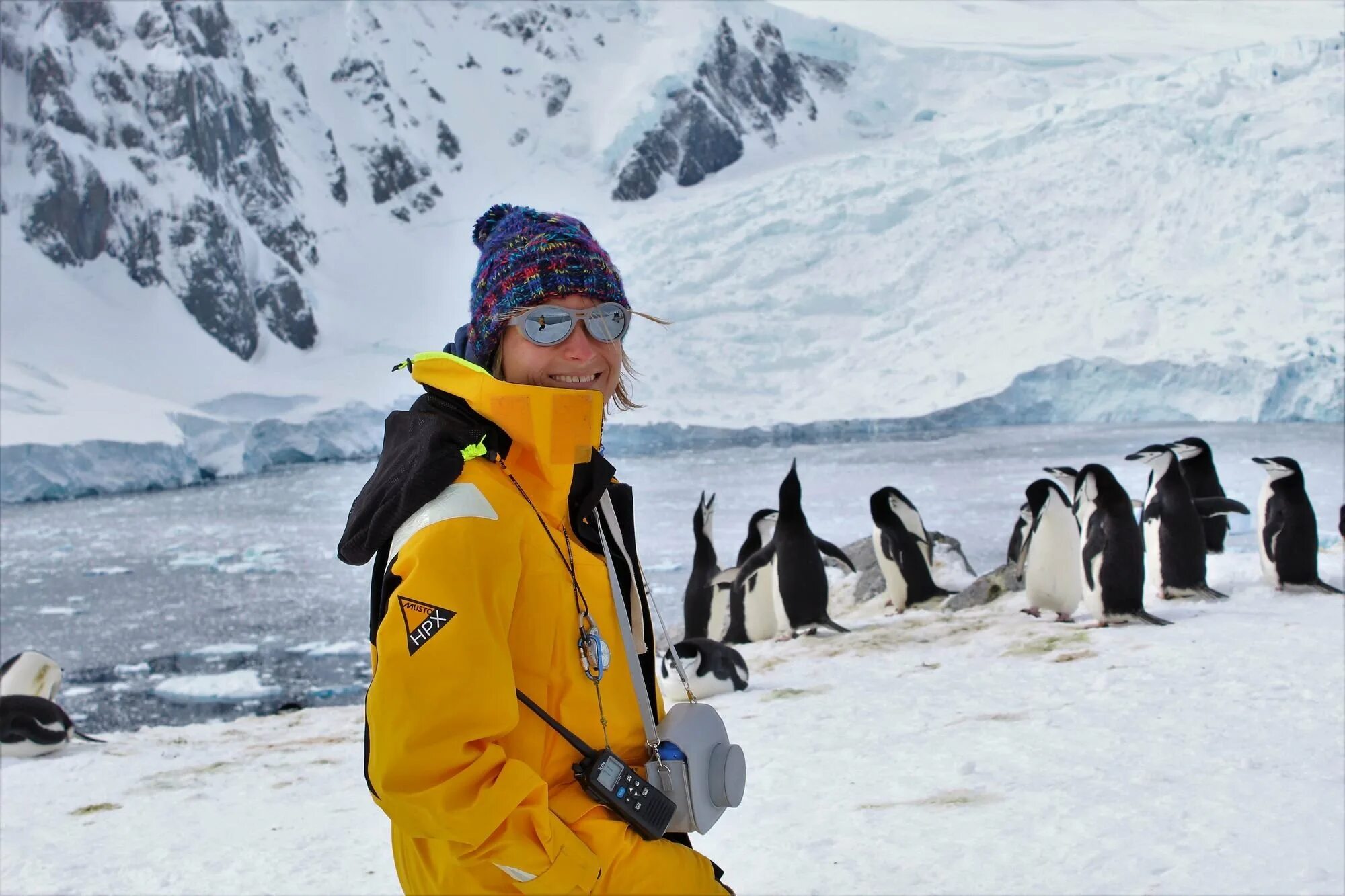 Поднимать пингвинов в антарктиде вакансии. Переворачиватель пингвинов. Антарктида люди. Девушка в Антарктиде. Человек Пингвин.
