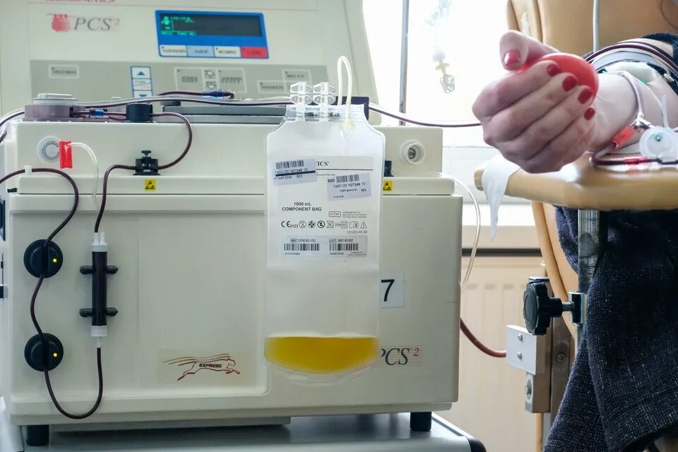 Плазма крови донорство. Аппарат для отделения плазмы крови.