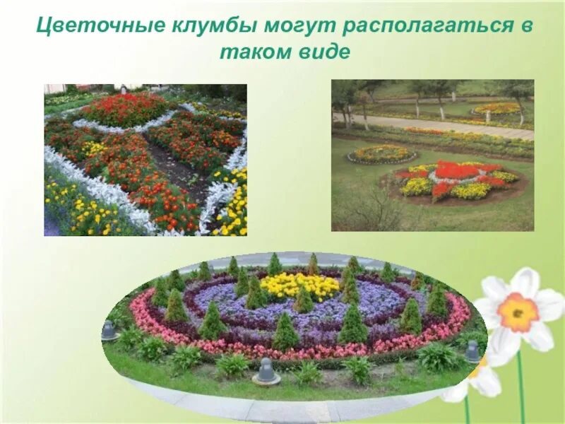 Клумбы клумбы значение. Макет школьной клумбы. проекты цветочных клумб. проекты клумб для пришкольного участка. клумбы для цветов проект.