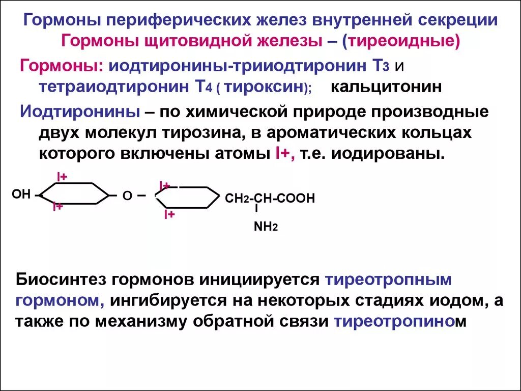 Химическая природа гормонов щитовидной железы (т3 и т4). Роль гормонов т3 и т4. Синтез секреции тироксина. Регуляция синтеза тироксина.