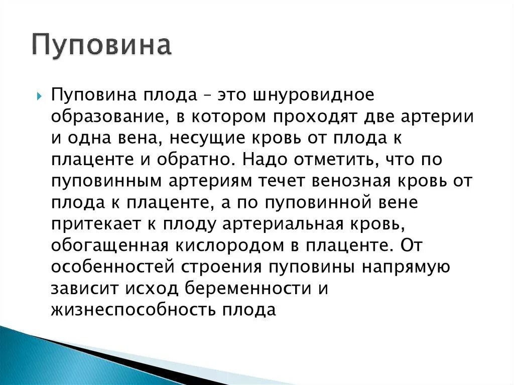 Пуповина строение и функции. Структура и функции пуповины. Строение пуповины плода.