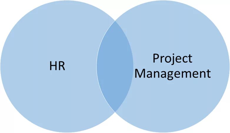 Hr project. Hr project. Human resource information system. Hr project. Модели организационного дизайна.