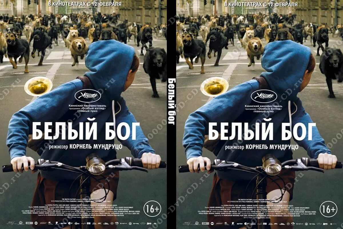 белый бог фильм. фильм про бога собаку. белый бог. песня белый бог. песня белый бог.