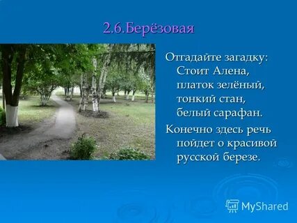 Стой отгадай