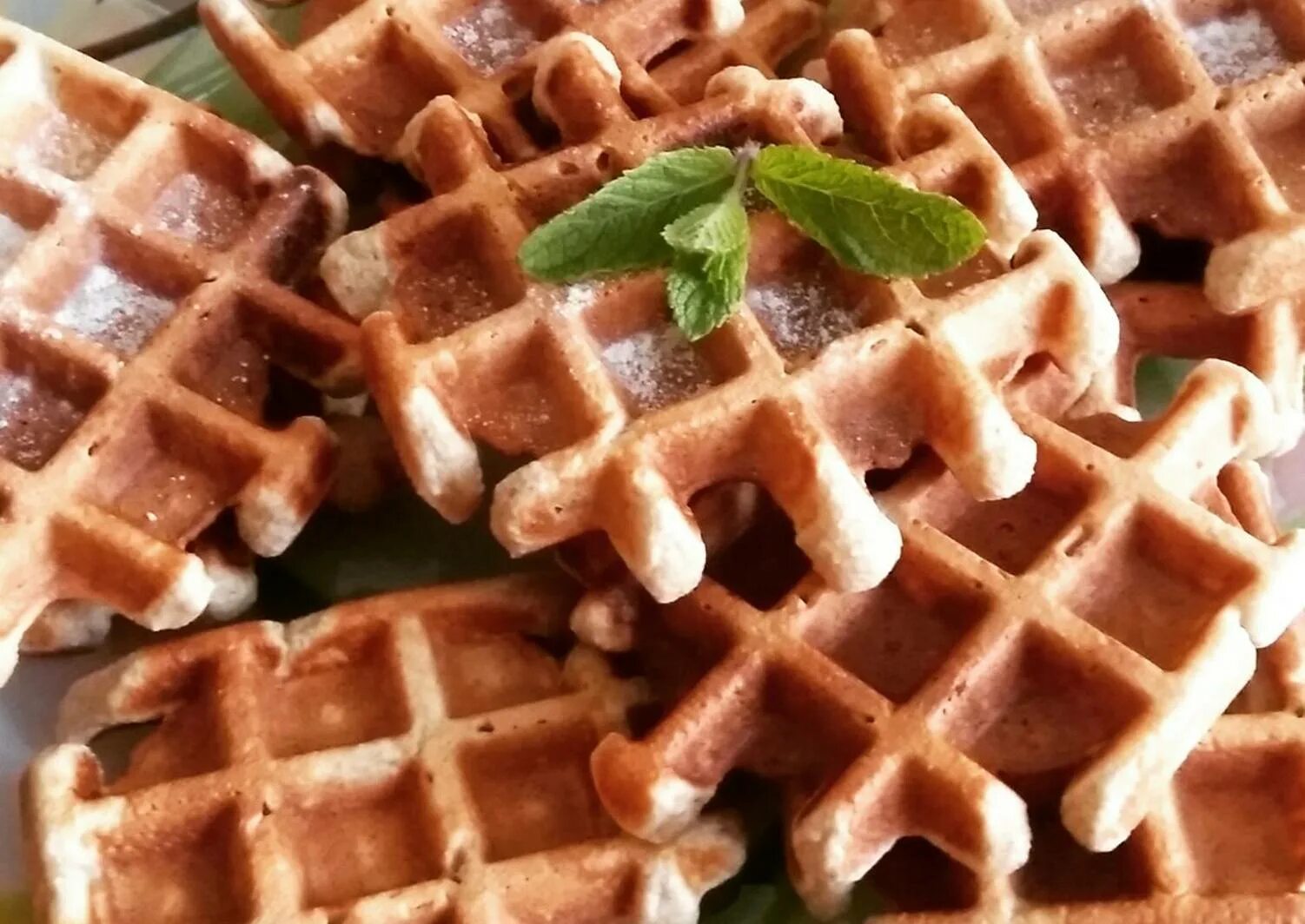 Венские овсяные вафли. Овсяные вафли с орехами. Вафли из хлопьев. Акульчев венские вафли сгущенка. Вафли из хлопьев.