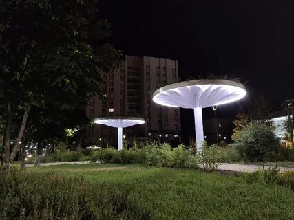 Публичный оскол